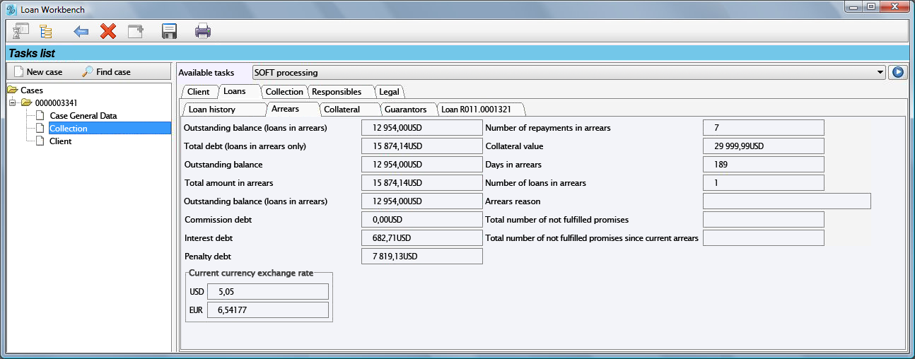 Colibri. Working with debtors